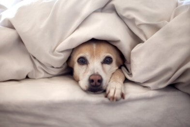 У Тернополі старенька бабуся щовечора розчулює перехожих своїм нетиповим для сьогодення вчинком