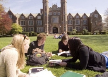 Є можливість: топ-10 зарубіжних освітніх програм січня