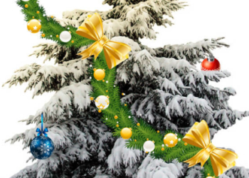 «Ялинка бажань» в розважальних центрах Тернополя