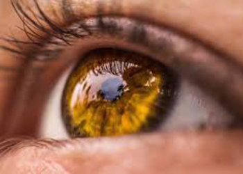 До жінки повернувся зір через… 25 років