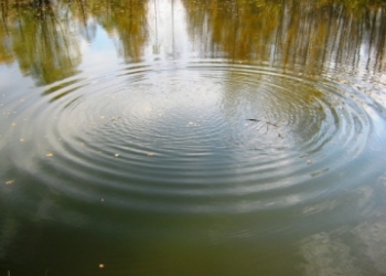 У Дністрі знайшли тіло другого рибалки