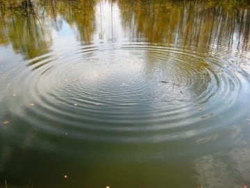 У Дністрі знайшли тіло другого рибалки