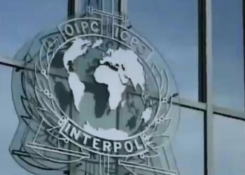 Із сайту Інтерполу зникли всі чиновники часів Януковича