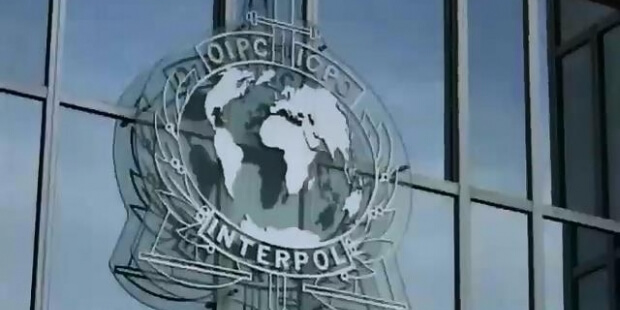 Із сайту Інтерполу зникли всі чиновники часів Януковича
