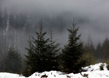 У Карпатах зник лижник – ДСНС