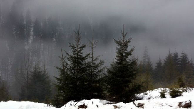 У Карпатах зник лижник – ДСНС