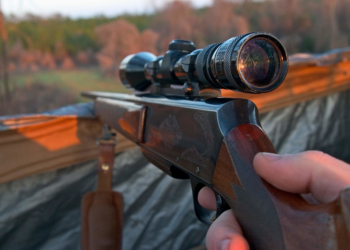 Вбивством через необережність завершилося незаконне полювання двох братів на Тернопільщині