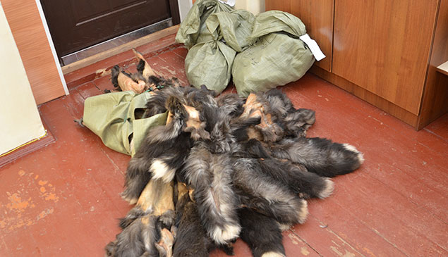 Викрав із звіроферми хутра на чверть мільйона гривень