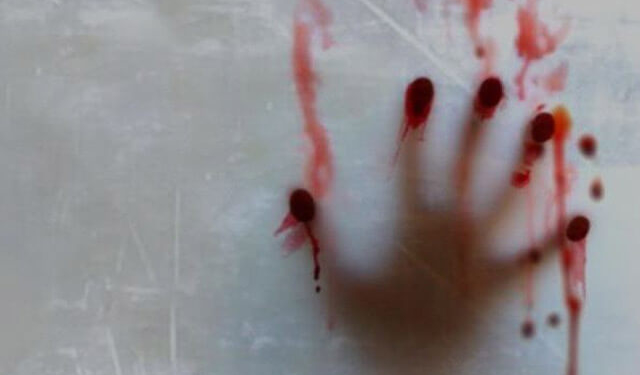 У Смиківцях донька вбила рідну матір