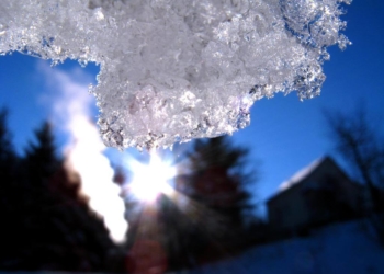 Весна в розпал зими: синоптики дали прогноз погоди на лютий