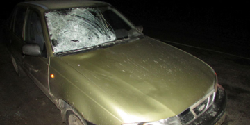 Смертельна ДТП на Теребовлянщині: автівка збила пішохода