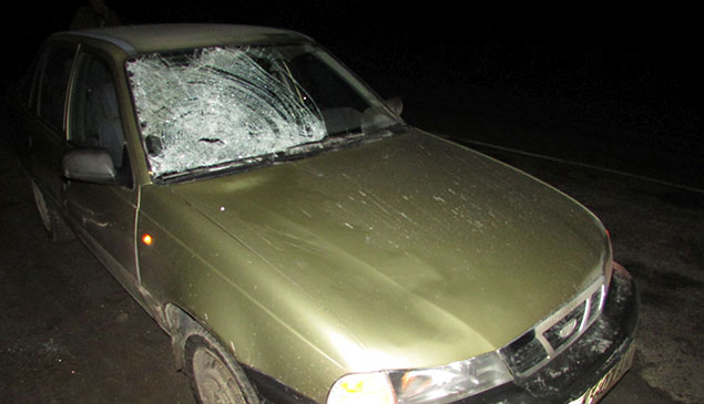 Смертельна ДТП на Теребовлянщині: автівка збила пішохода