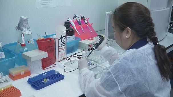 Коли з‘явиться вакцина проти вірусу Зіка?