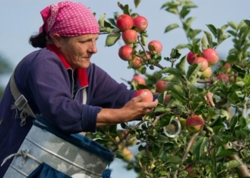 Чому тернополянам тепер буде важче потрапити на сезонні заробітки до Польщі?