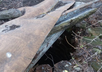 Що приголомшило тернопільську журналістку (ФОТО)