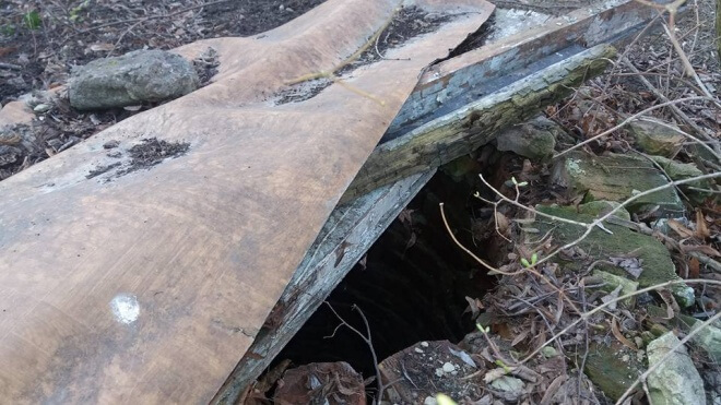 Що приголомшило тернопільську журналістку (ФОТО)