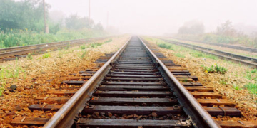 Біля Тернополя знайшли тіло школяра з відрізаною головою