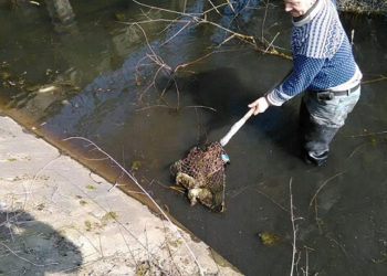 Мешканці Тернопільщини викидають у ріки сміття і… цуценят. ФОТО