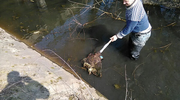 Мешканці Тернопільщини викидають у ріки сміття і… цуценят. ФОТО