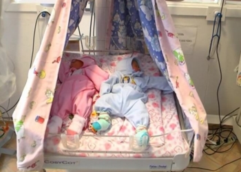 Скільки немовлят народилося у Тернопільському перинатальному центрі?