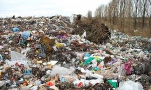 У Малашівцях на сміттєзвалищі знайшли труп чоловіка