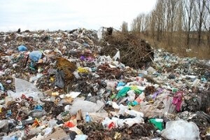 У Малашівцях на сміттєзвалищі знайшли труп чоловіка