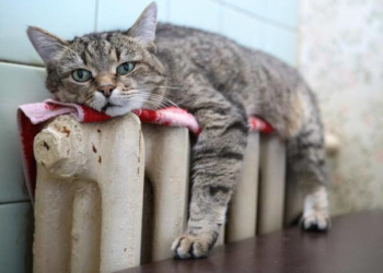 За тепло будемо платити менше?