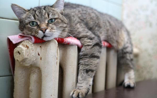 За тепло будемо платити менше?