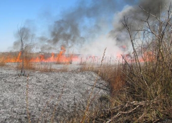 На Тернопільщині палії сухої трави мало не знищили заповідник