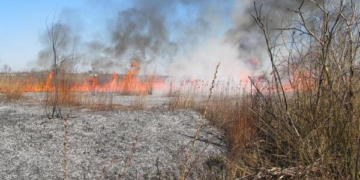 На Тернопільщині палії сухої трави мало не знищили заповідник