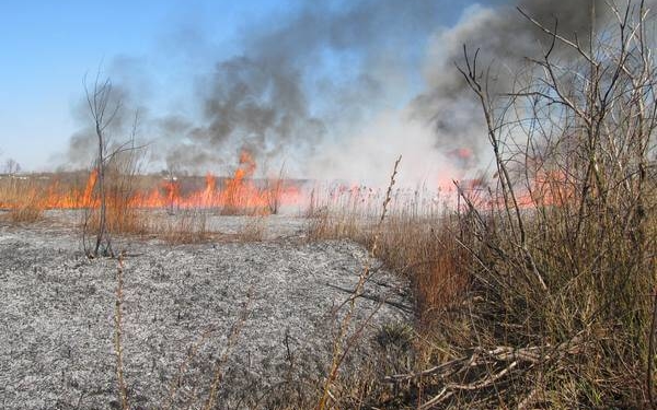 На Тернопільщині палії сухої трави мало не знищили заповідник