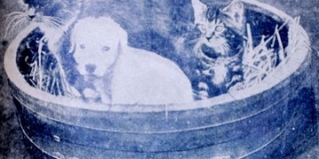 За що тернополян штрафували на 2000 злотих?