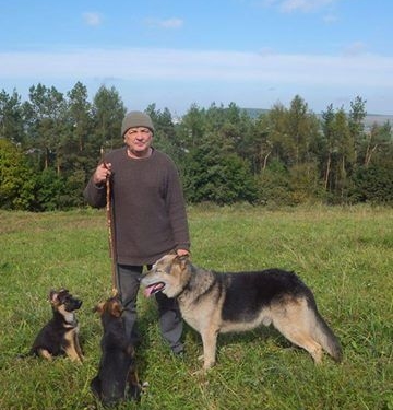 “Люди тут їздять, як оселедці”, – що шокує іноземця на Тернопільщині