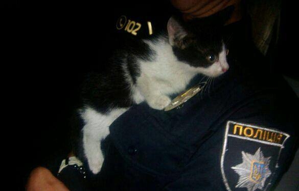 Патрульні Тернополя вже рятують котиків (фотофакт)
