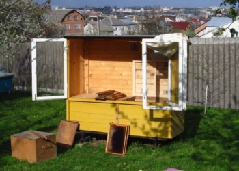 Вулик-лежанка тепер є біля Тернополя