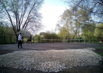 Ось що робиться, коли жителі Тернополя беруть шуфлі у руки (фото)