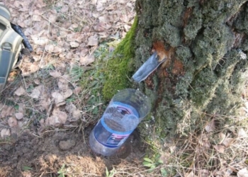 За березовий сік тернополяни можуть влетіти у копієчку   