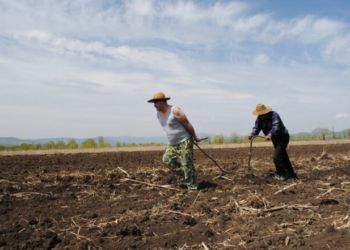 Цієї весни тернополяни відпочинуть довго