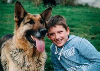 Ельзу знайшли у Тернополі облисілою та виснаженою голодом…