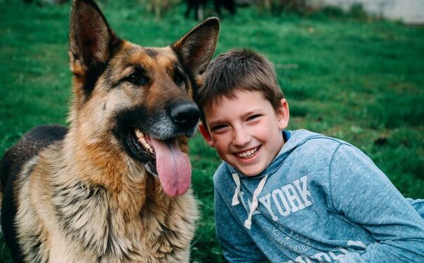 Ельзу знайшли у Тернополі облисілою та виснаженою голодом…