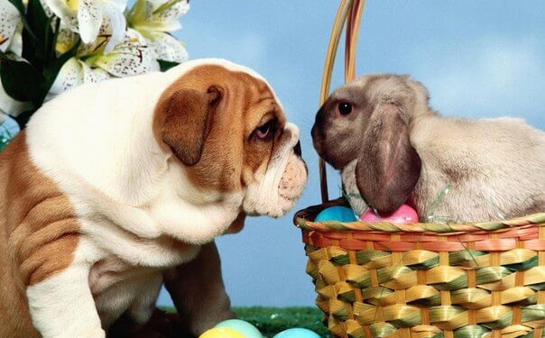 Тернополяни можуть долучитися до гарної передпасхальної традиції