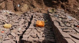 Підприємливі жителі Тернопільщини не гребують нічим