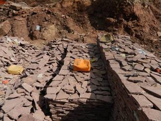 Підприємливі жителі Тернопільщини не гребують нічим