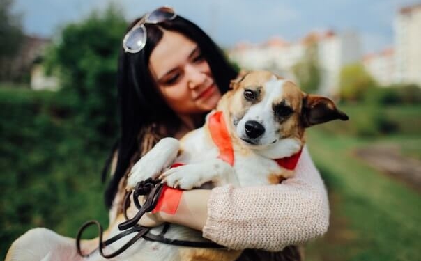 Її знайшли на Тернопільщині у ямі, виснажену голодом…(фото)