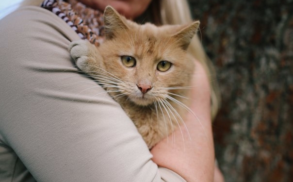 У Тернополі на зупинці вони знайшли щастя (фото)