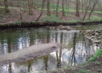Тернопільські базарники викидають гниль у річку!