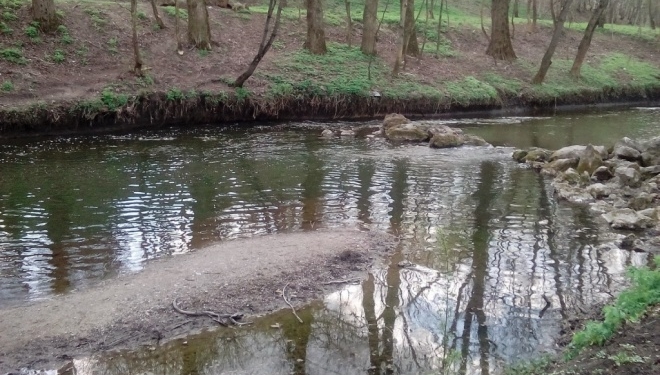 Тернопільські базарники викидають гниль у річку!