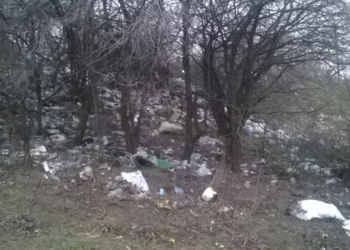 На Тернопільщині люди зробили смітник за 500 метрів від сільради (фото)