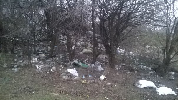 На Тернопільщині люди зробили смітник за 500 метрів від сільради (фото)