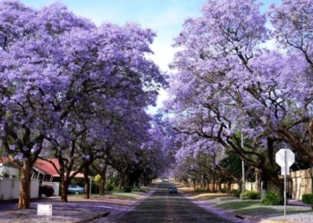 У Тернополі очікують на “вибух”